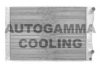 AUTOGAMMA 101676 Radiator, engine cooling